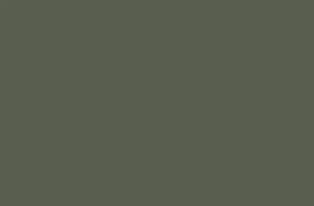 ZOBEL Deco-tec 5450C RAL 6003 Фасадная краска, н.у. - 1л